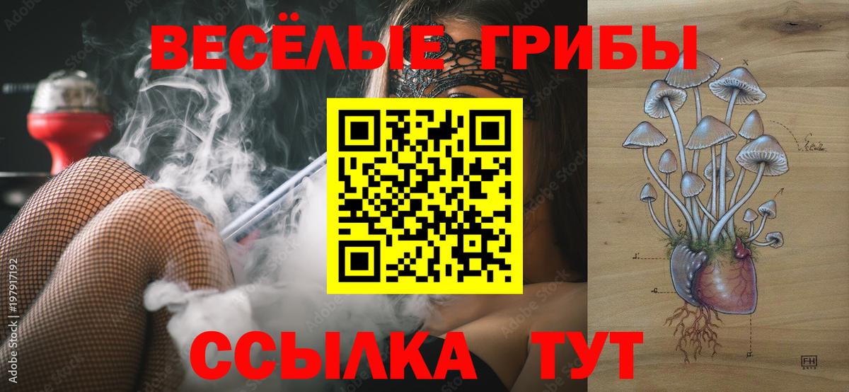 Псилоцибиновые грибы Magic Shrooms  Вход с VPN  Псилоцибиновые грибы Psilocybine cubensis  Кандалакша 
